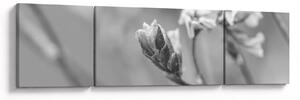 Obraz - Kwitnący kwiat (170x50 cm)