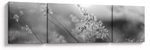 Obraz - Jesienna łąka (170x50 cm)