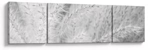 Obraz - Trawa pampasowa N⁰1 (170x50 cm)