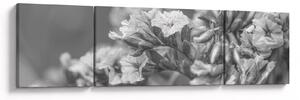 Obraz - Suszone kwiaty (170x50 cm)