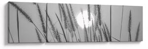 Obraz - Łąka o zachodzie słońca (170x50 cm)