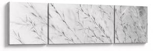 Obraz - Trawa pampasowa N⁰2 (170x50 cm)