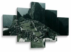 Obraz - Lamy w Machu Picchu w Peru (125x70 cm)