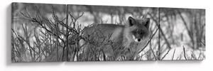 Obraz - Lis w zimie (170x50 cm)