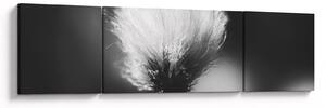 Obraz - Czarno-biała trawa bawełniana (170x50 cm)