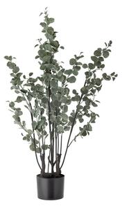 Sztuczny eukaliptus (wysokość 117 cm) – Bloomingville