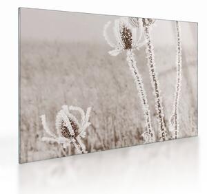 Obraz na szkle - Oset w zimie (70x50 cm)