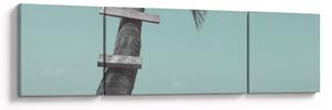 Obraz - Palma na Karaibach (170x50 cm)