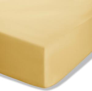 Żółte prześcieradło z perkalu z gumką 90x190 cm Easy Iron Percale – Catherine Lansfield