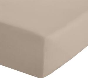 Jasnobrązowe prześcieradło z perkalu z gumką 90x190 cm Easy Iron Percale – Catherine Lansfield