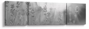 Obraz - Lawenda (170x50 cm)