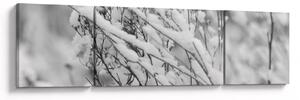 Obraz - Ośnieżone gałęzie (170x50 cm)