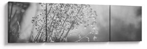 Obraz - Łąka po deszczu (170x50 cm)