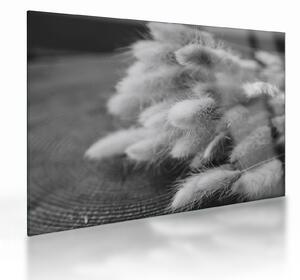 Obraz na szkle - trawa z króliczym ogonkiem na stole (70x50 cm)