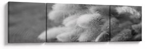 Obraz - trawa z króliczym ogonkiem na stole (170x50 cm)