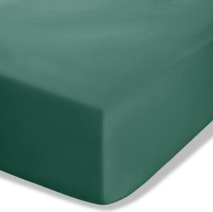 Ciemnozielone prześcieradło z perkalu z gumką 90x190 cm Easy Iron Percale – Catherine Lansfield