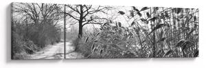 Obraz - Pola w zimie (170x50 cm)