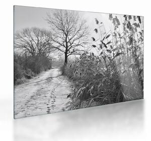 Obraz na szkle - Pola w zimie (70x50 cm)