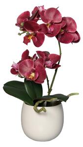 Sztuczna Orchidea w Doniczce 22 cm - Kolory - bordowy