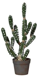 Kaktus w Doniczce 63 cm