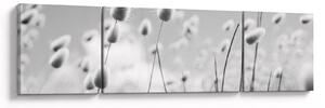 Obraz - Trawa z ogonkiem króliczka Boho (170x50 cm)
