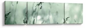 Obraz - Zielona łąka (170x50 cm)