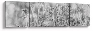 Obraz - Mroźna zima (170x50 cm)