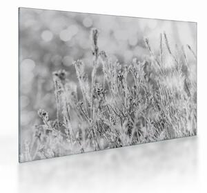 Obraz na szkle - Mroźna zima (70x50 cm)