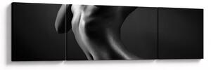 Obraz - Nagie kobiety (170x50 cm)