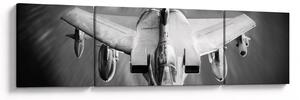 Obraz - Samolot (170x50 cm)