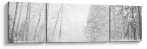 Obraz - Drewniane molo zimą (170x50 cm)