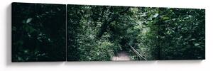 Obraz - Ścieżka przez las (170x50 cm)
