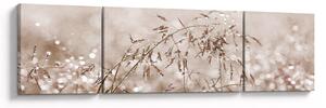 Obraz - Łąka w odcieniach brązu (170x50 cm)
