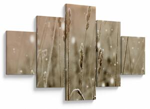 Obraz - Harmonious Meadow (125x70 cm)