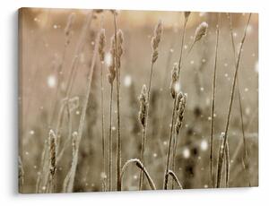 Obraz - Harmonious Meadow (70x50 cm)