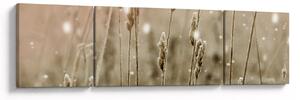 Obraz - Harmonious Meadow (170x50 cm)