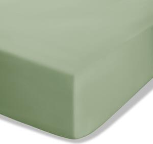 Zielone prześcieradło z perkalu z gumką 90x190 cm Easy Iron Percale – Catherine Lansfield