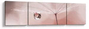 Obraz - Kropla rosy (170x50 cm)