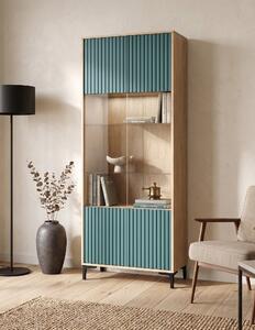 Witryna 2D do salonu Dąb Kamienny OLO 80 cm Zielony