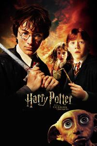 Druk artystyczny Harry Potter - Chamber of secrets