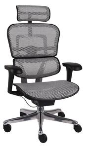 Fotel biurowy Ergohuman 2 Basic BS Grey
