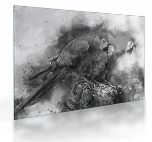 Obraz na szkle - Papugi akwarelowe (70x50 cm)