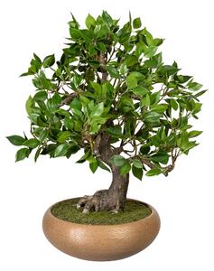 Sztuczny Bonsai Ficus h - 50 cm