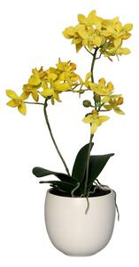 Sztuczna Orchidea w Doniczce 36 cm - Kolory - bladoróżowy