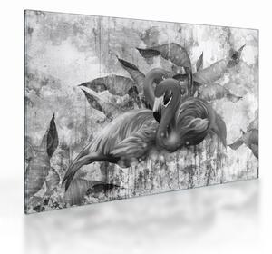 Obraz na szkle - Graffiti z flamingami (70x50 cm)