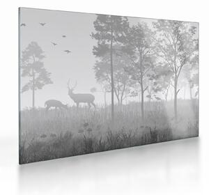 Obraz na szkle - Łąka z jeleniami (70x50 cm)