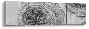 Obraz - Motyw drzewa (170x50 cm)