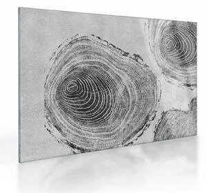 Obraz na szkle - Motyw drzewa (70x50 cm)