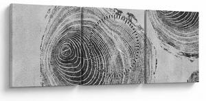 Obraz - Motyw drzewa (z zegarem) (90x30 cm)