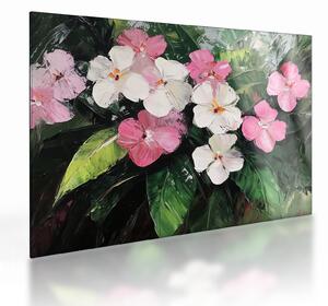 Obraz na szkle - Różowe i białe kwiaty (70x50 cm)